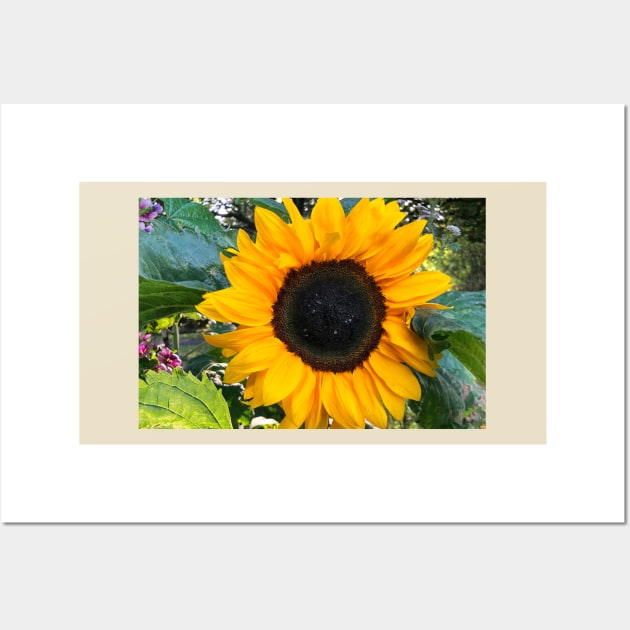 Sunflower macro Wall Art by Violaman